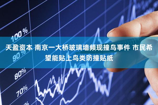 天盈资本 南京一大桥玻璃墙频现撞鸟事件 市民希望能贴上鸟类防撞贴纸