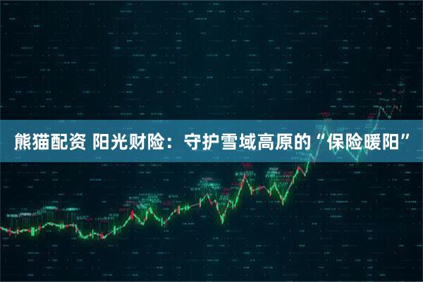 熊猫配资 阳光财险：守护雪域高原的“保险暖阳”