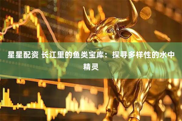 星星配资 长江里的鱼类宝库：探寻多样性的水中精灵