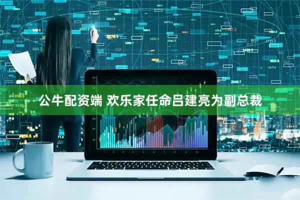 公牛配资端 欢乐家任命吕建亮为副总裁