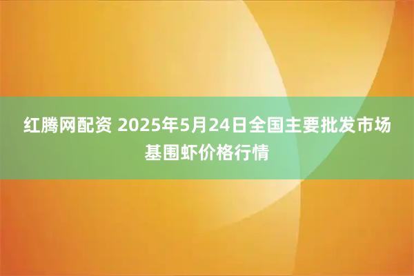 红腾网配资 2025年5月24日全国主要批发市场基围虾价格行情