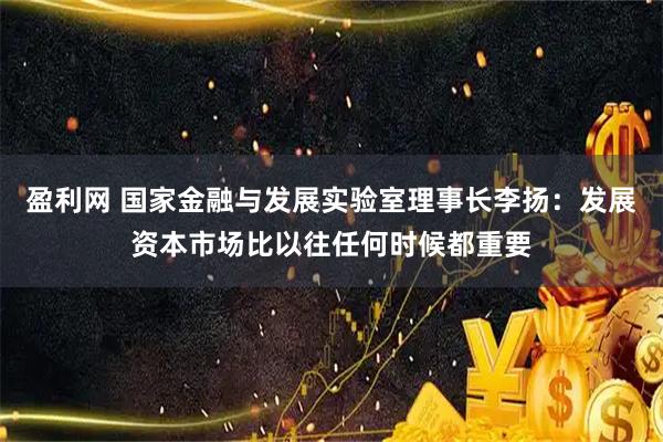 盈利网 国家金融与发展实验室理事长李扬：发展资本市场比以往任何时候都重要
