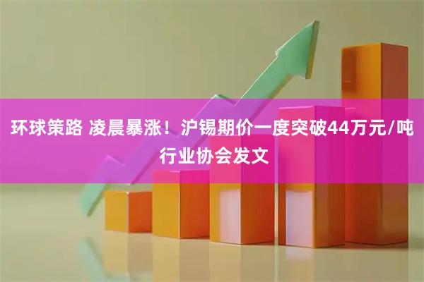 环球策路 凌晨暴涨！沪锡期价一度突破44万元/吨 行业协会发文