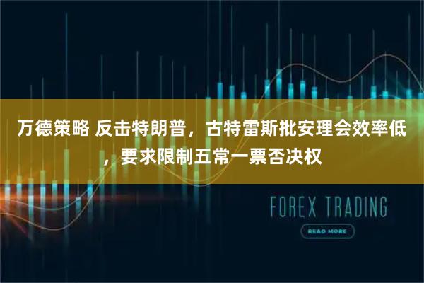 万德策略 反击特朗普，古特雷斯批安理会效率低，要求限制五常一票否决权
