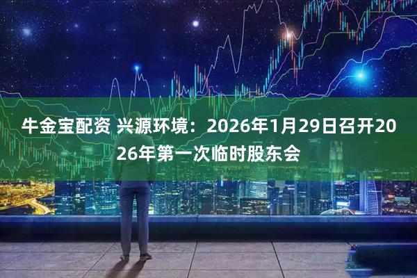 牛金宝配资 兴源环境：2026年1月29日召开2026年第一次临时股东会