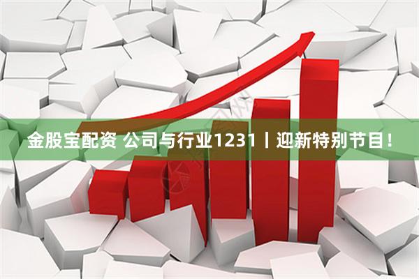 金股宝配资 公司与行业1231丨迎新特别节目！