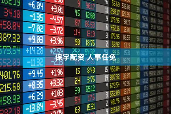 保宇配资 人事任免